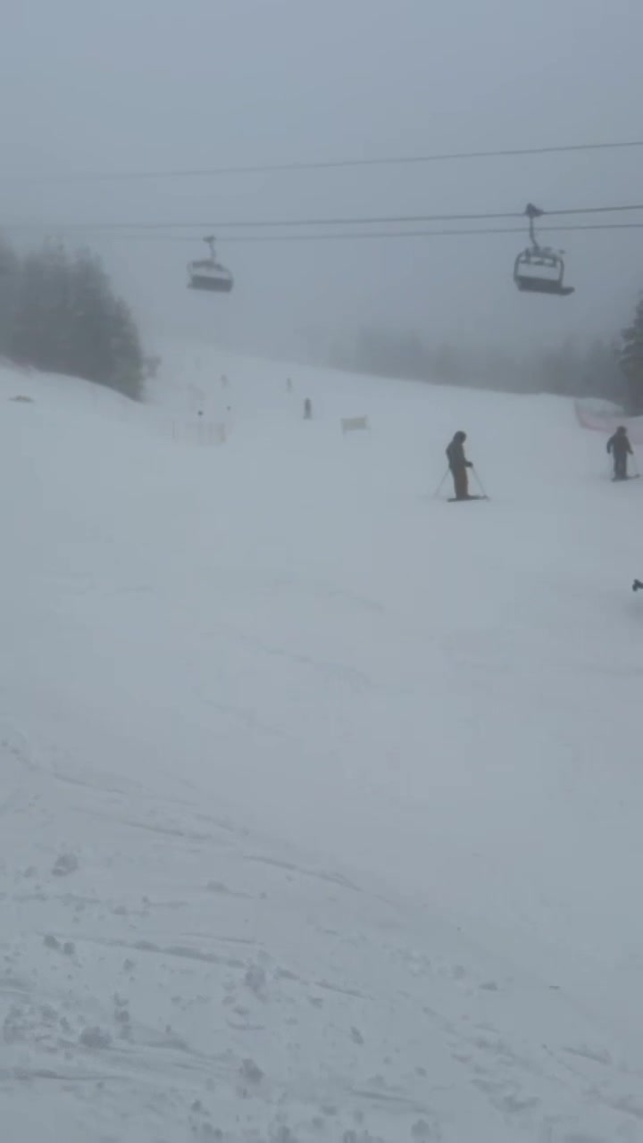 @Swell.trips