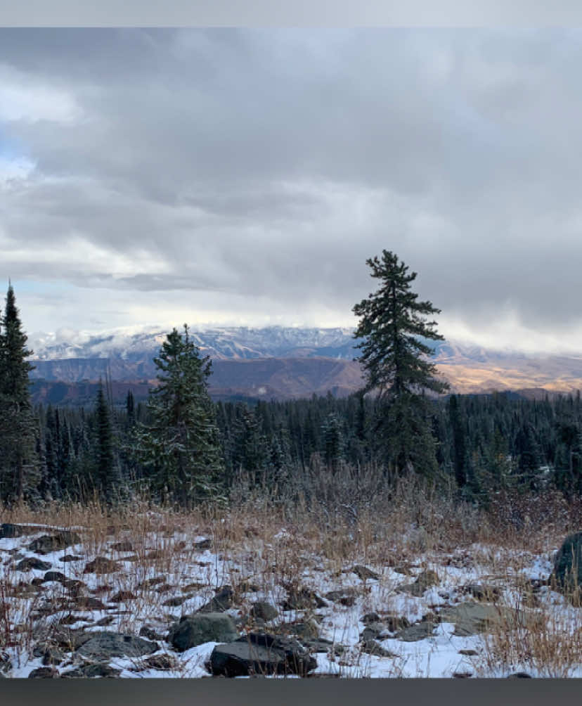 @Cowboytok