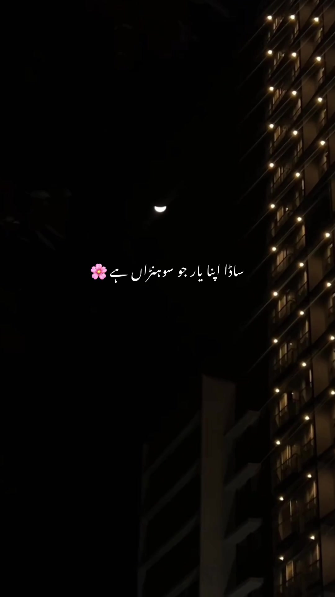 @𝗭 𝗨 𝗥 𝗜 𝗜 𖤍 🥶⃤
