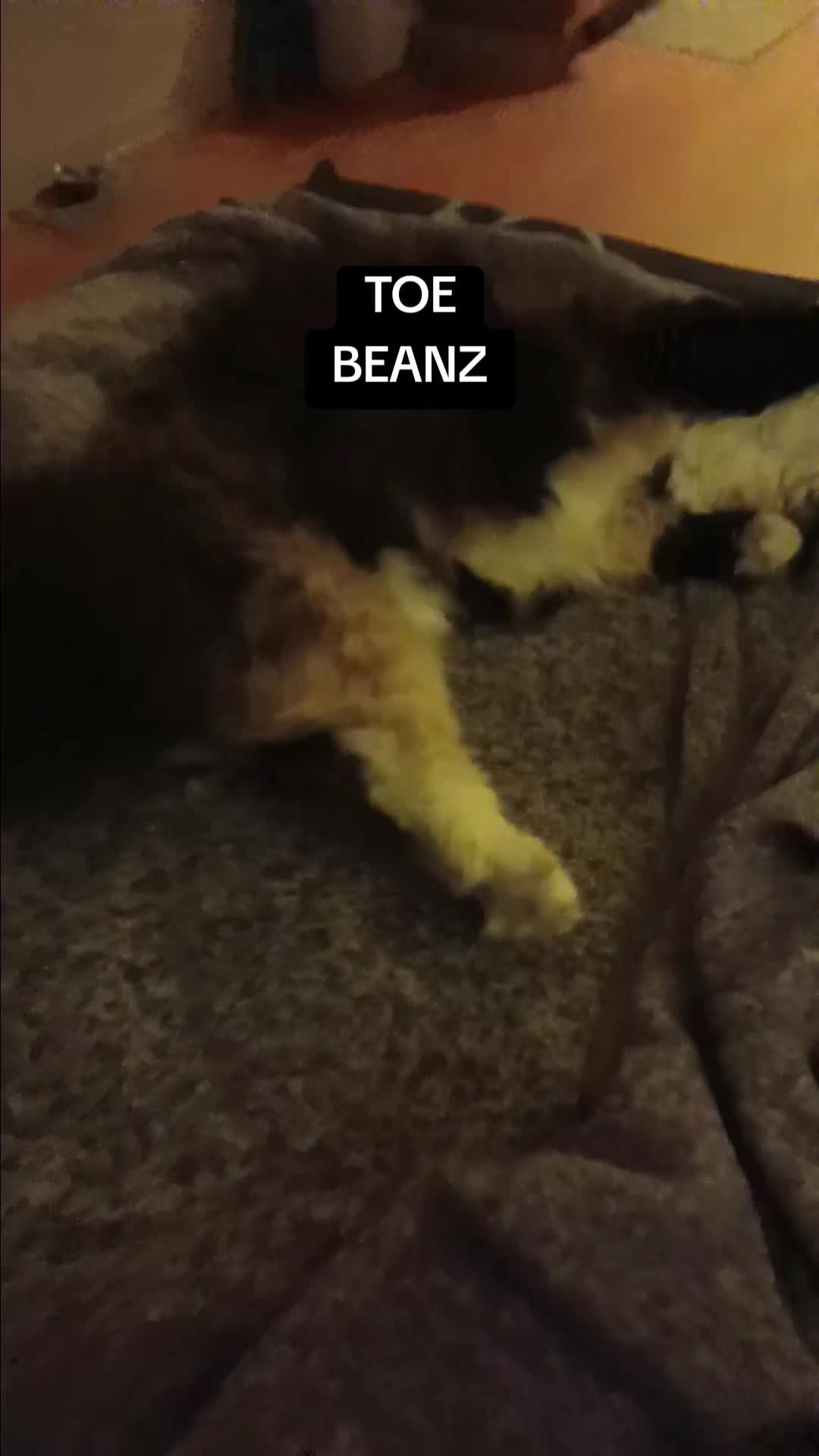 @biology_brat_mk2
