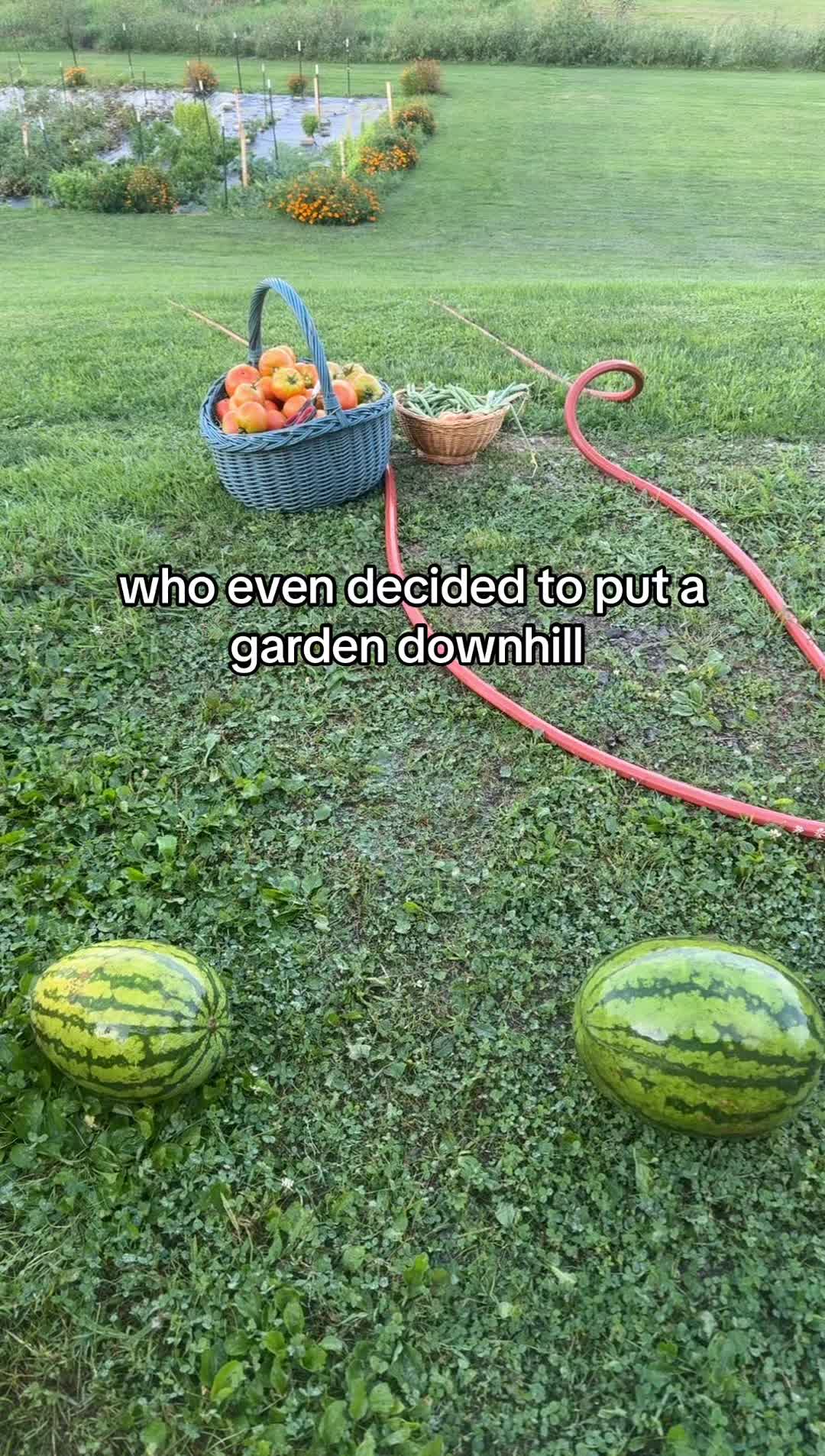 @🩶Sarah🩶