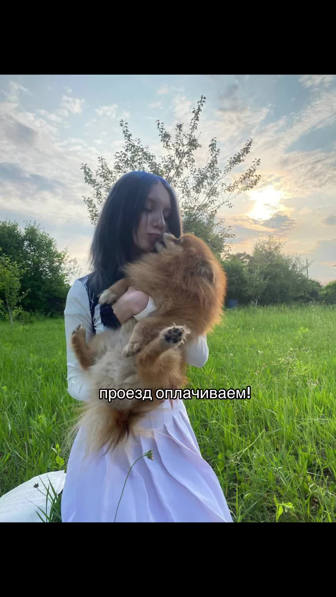 @дидэм