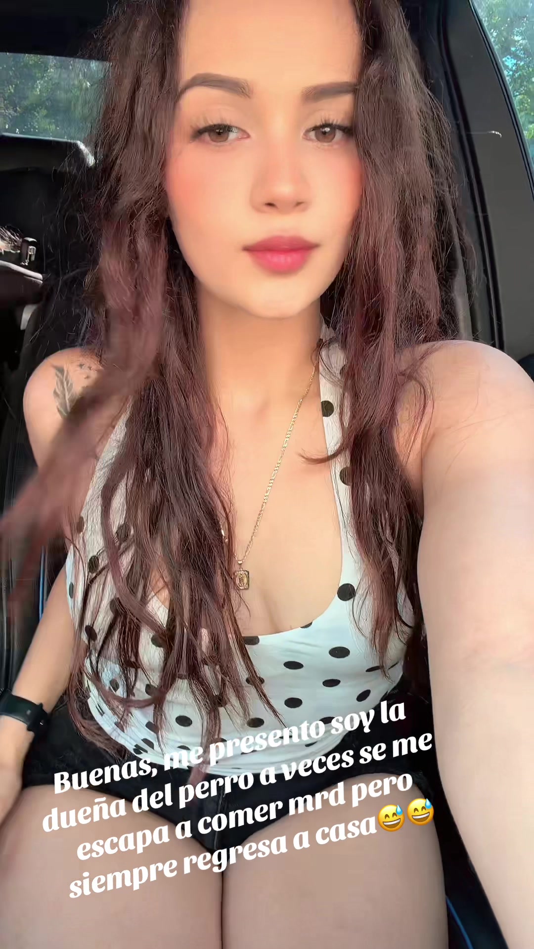 @Stefany