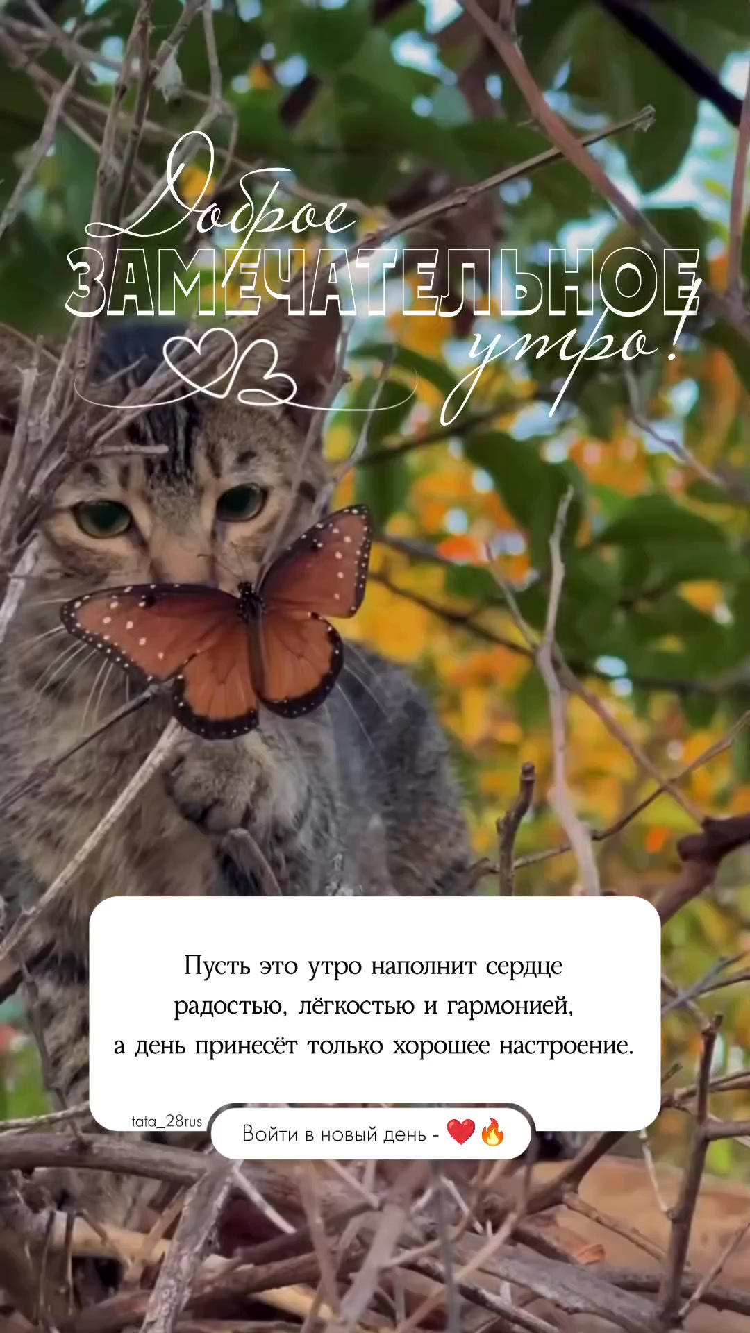 @Tata_Amyrka 🇷🇺
