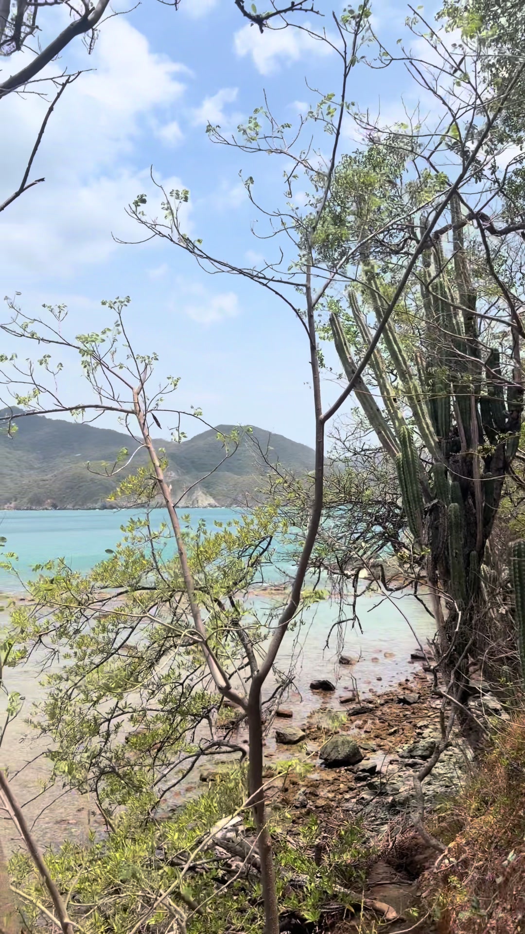 @Lala 🦈