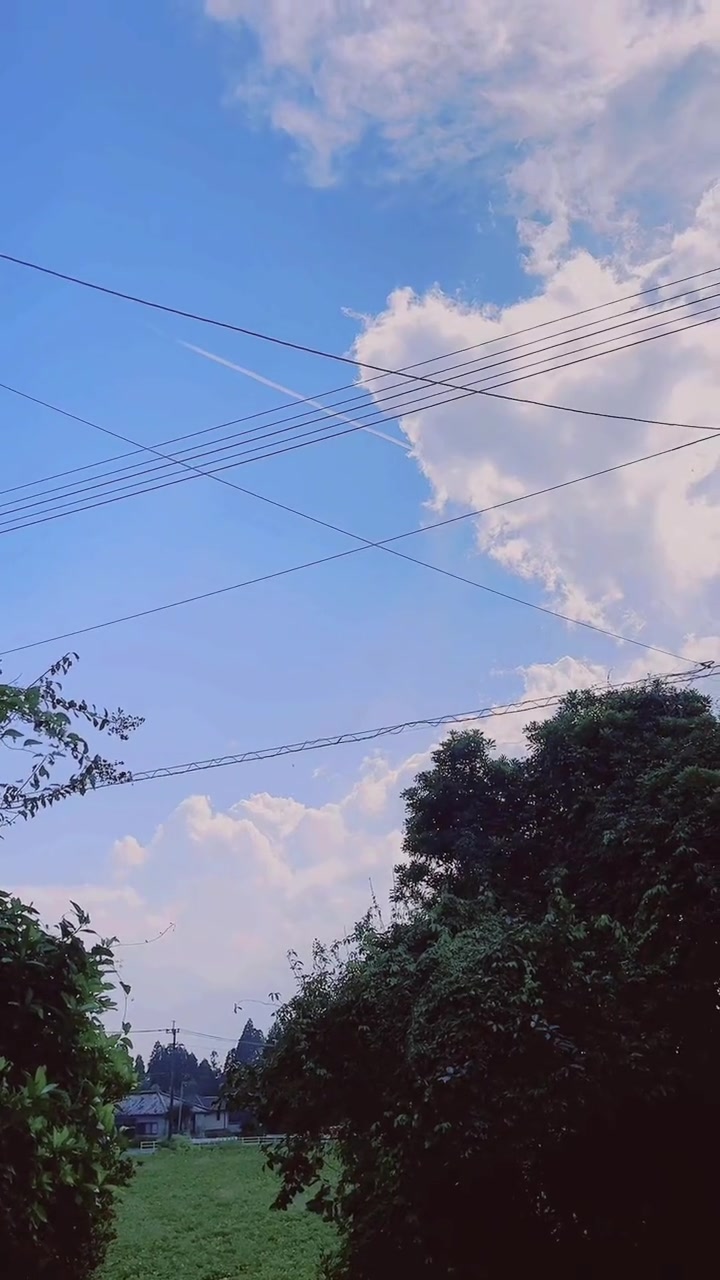 @︎︎夏空