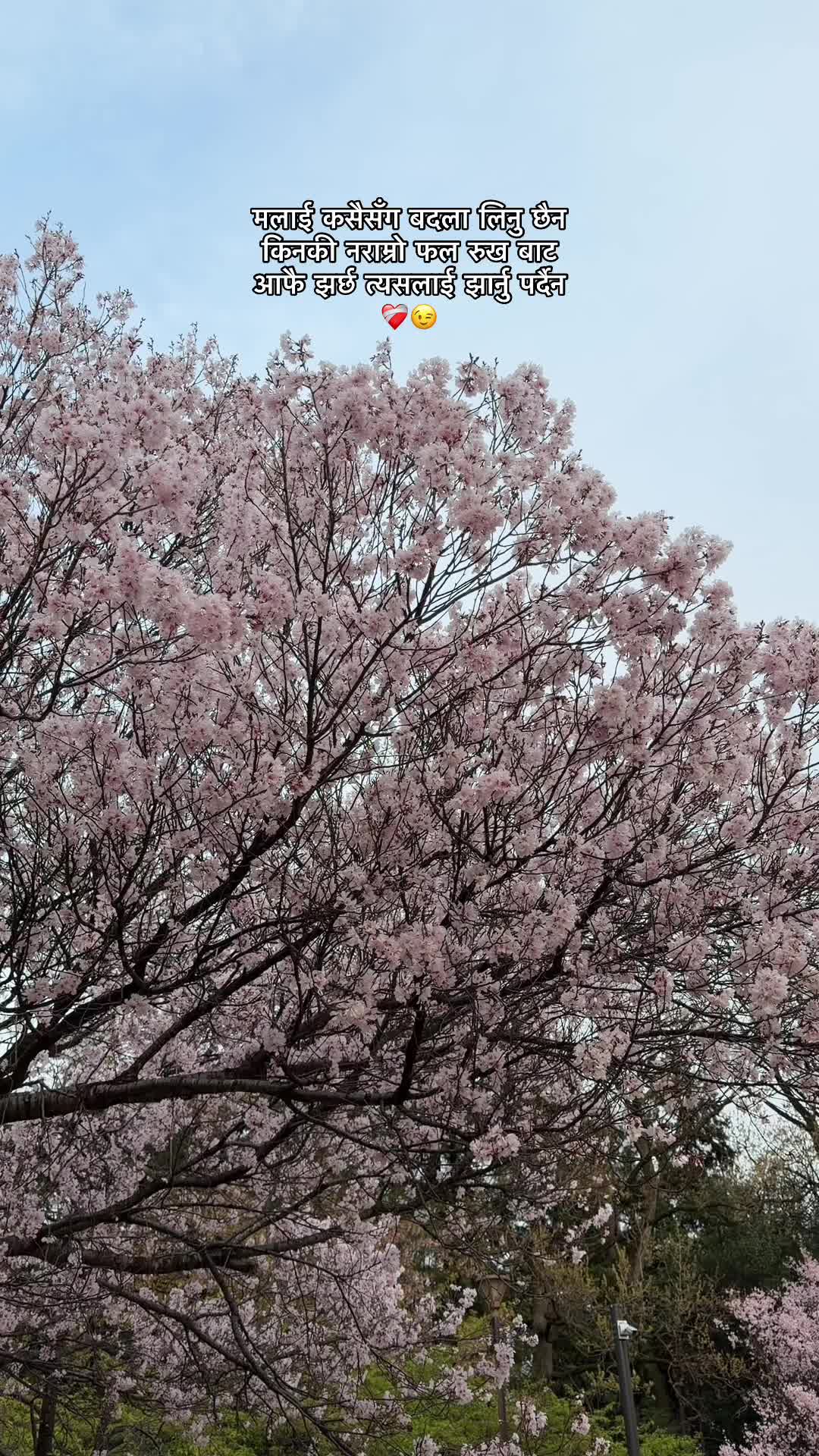 @𝐒𝐮𝐉𝐚𝐧♡🇯🇵🇳🇵