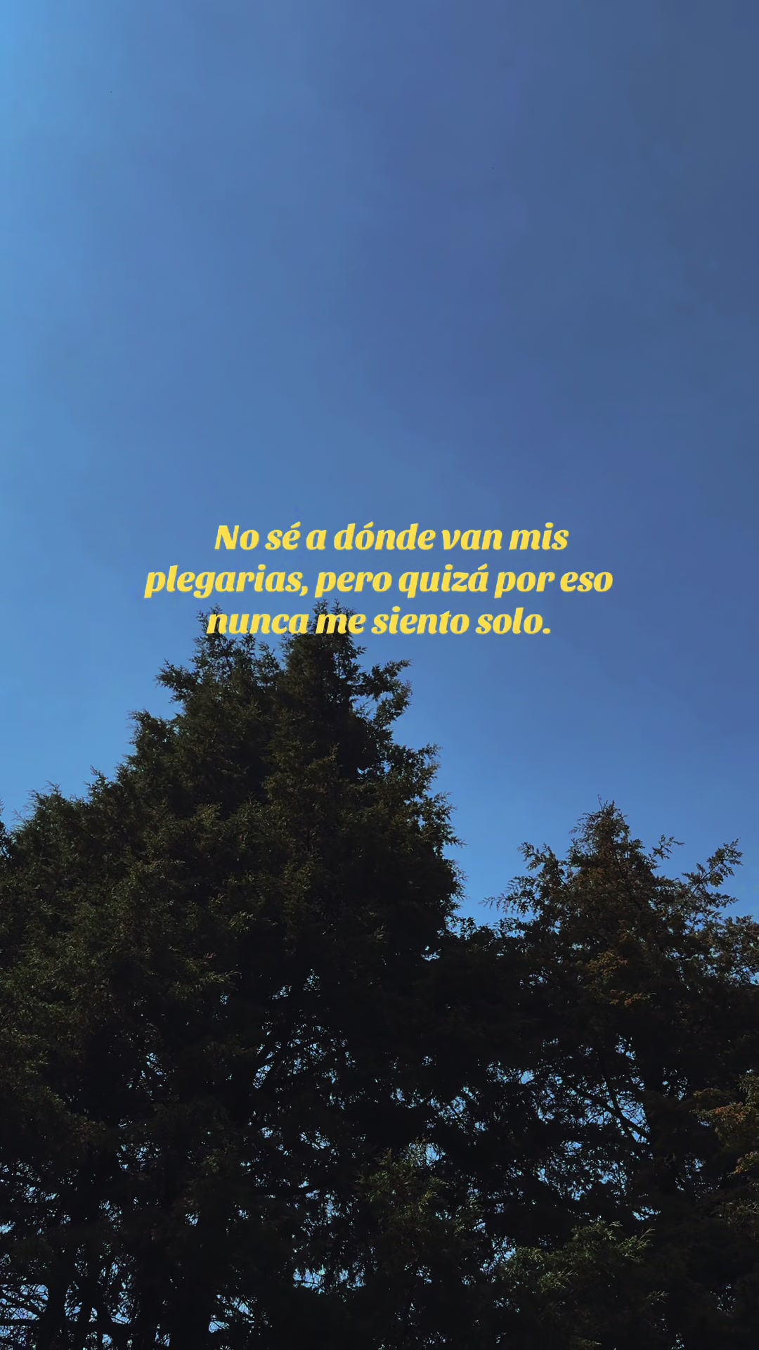 @Mar Tovilla