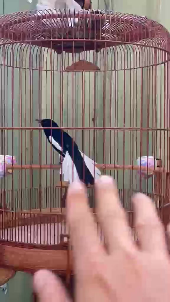 @Kiệt Nguyễn