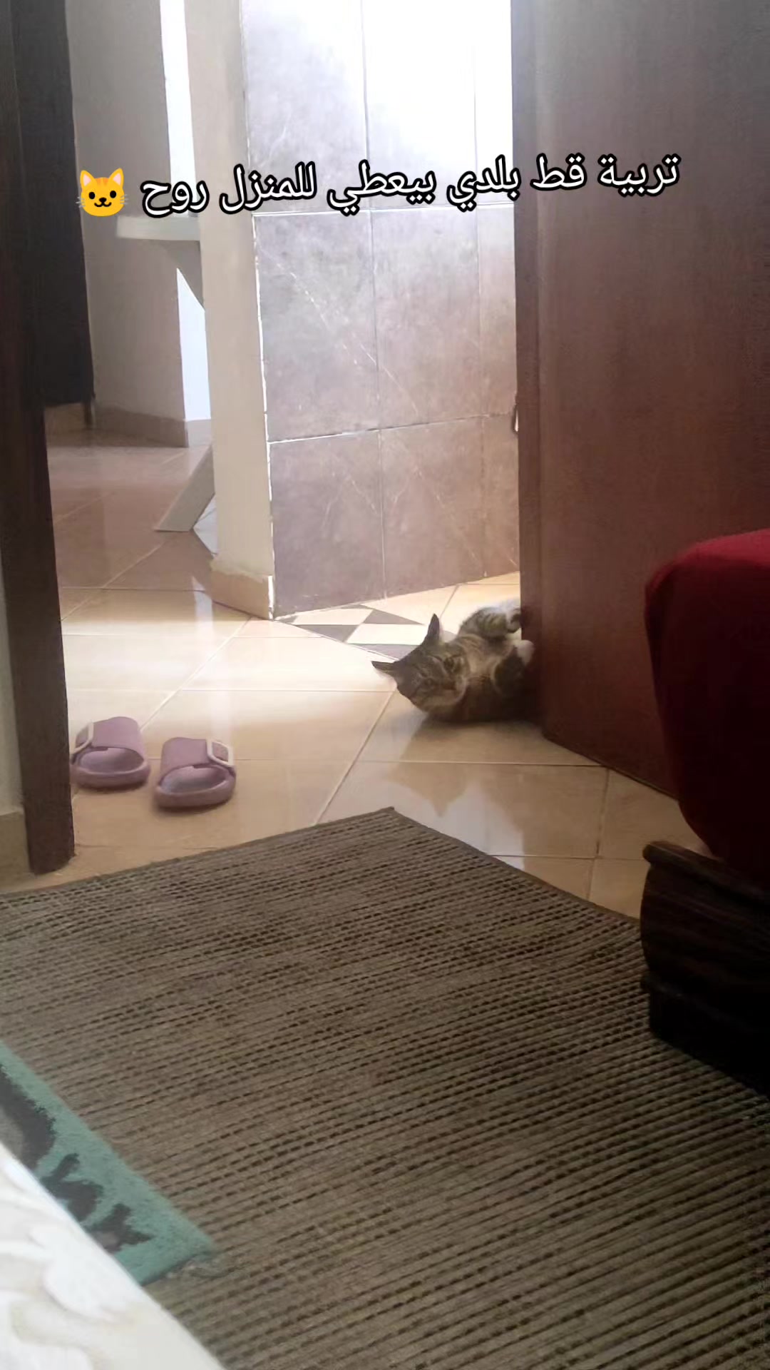 @عاشقة أبيها