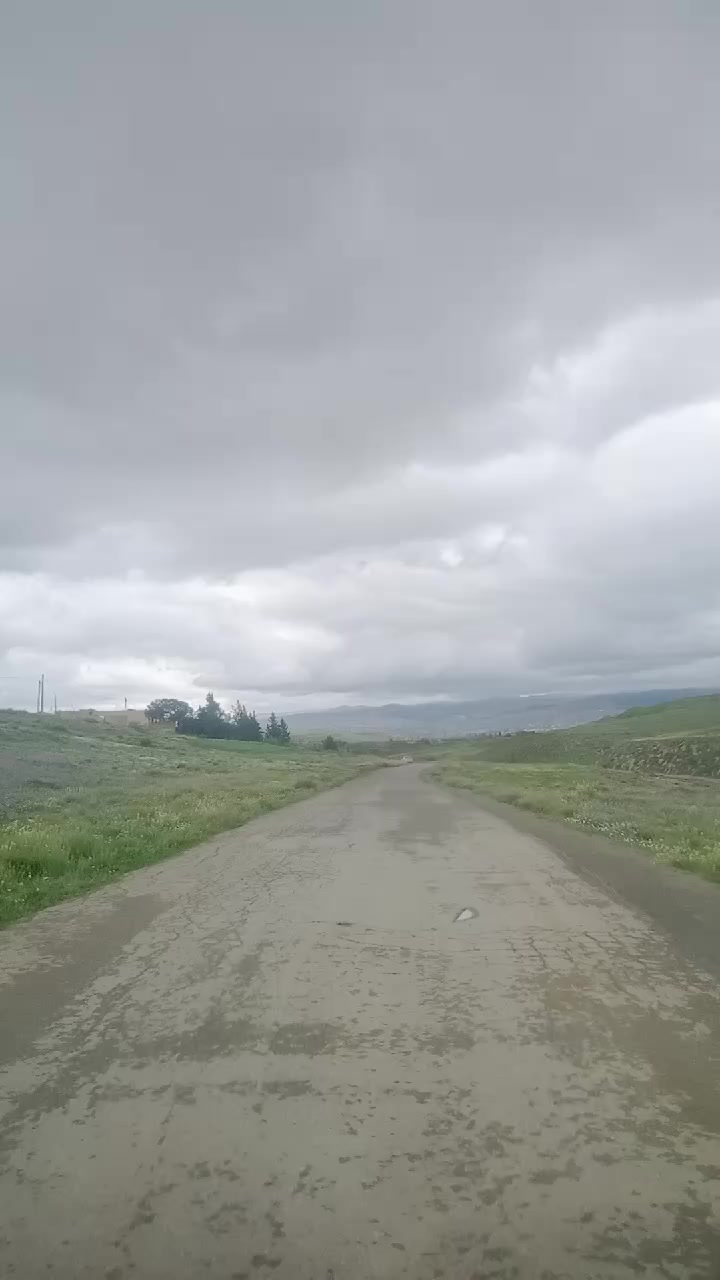 @محمد أمين 🇩🇿