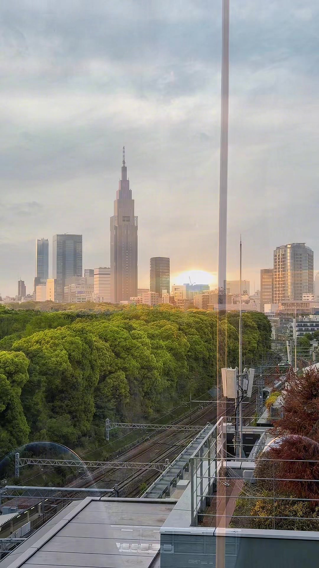 @のらよ🏮Norayo