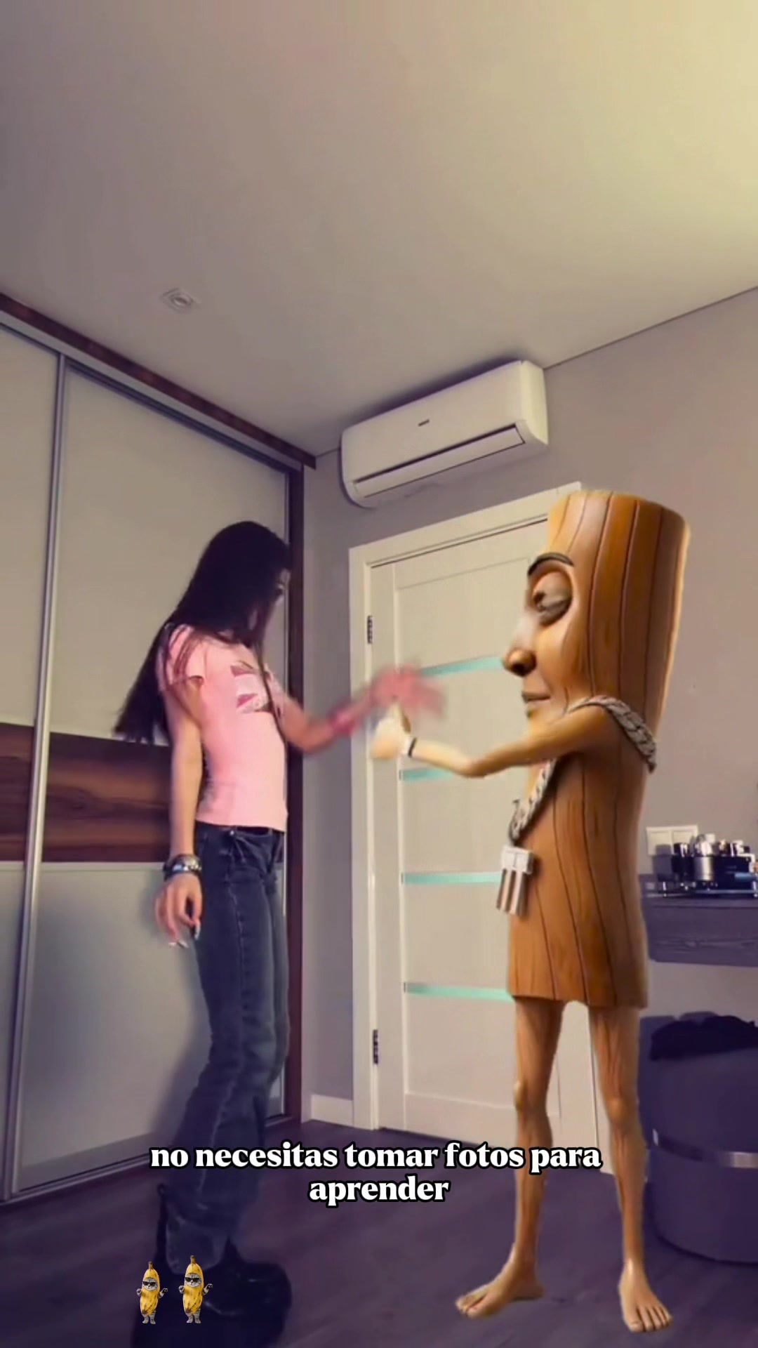 @danzasobrehielo