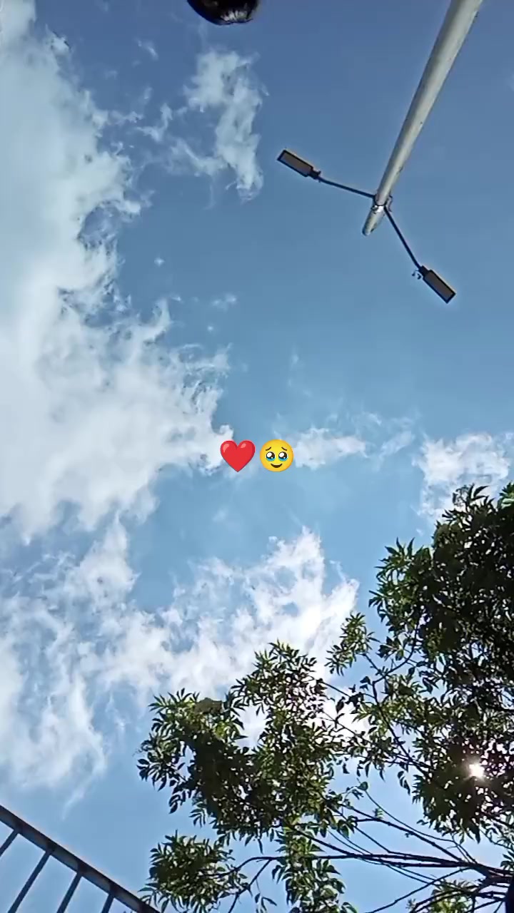 @702_NAUMANN