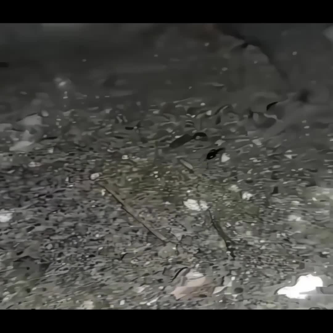 @Arthur Fernandes