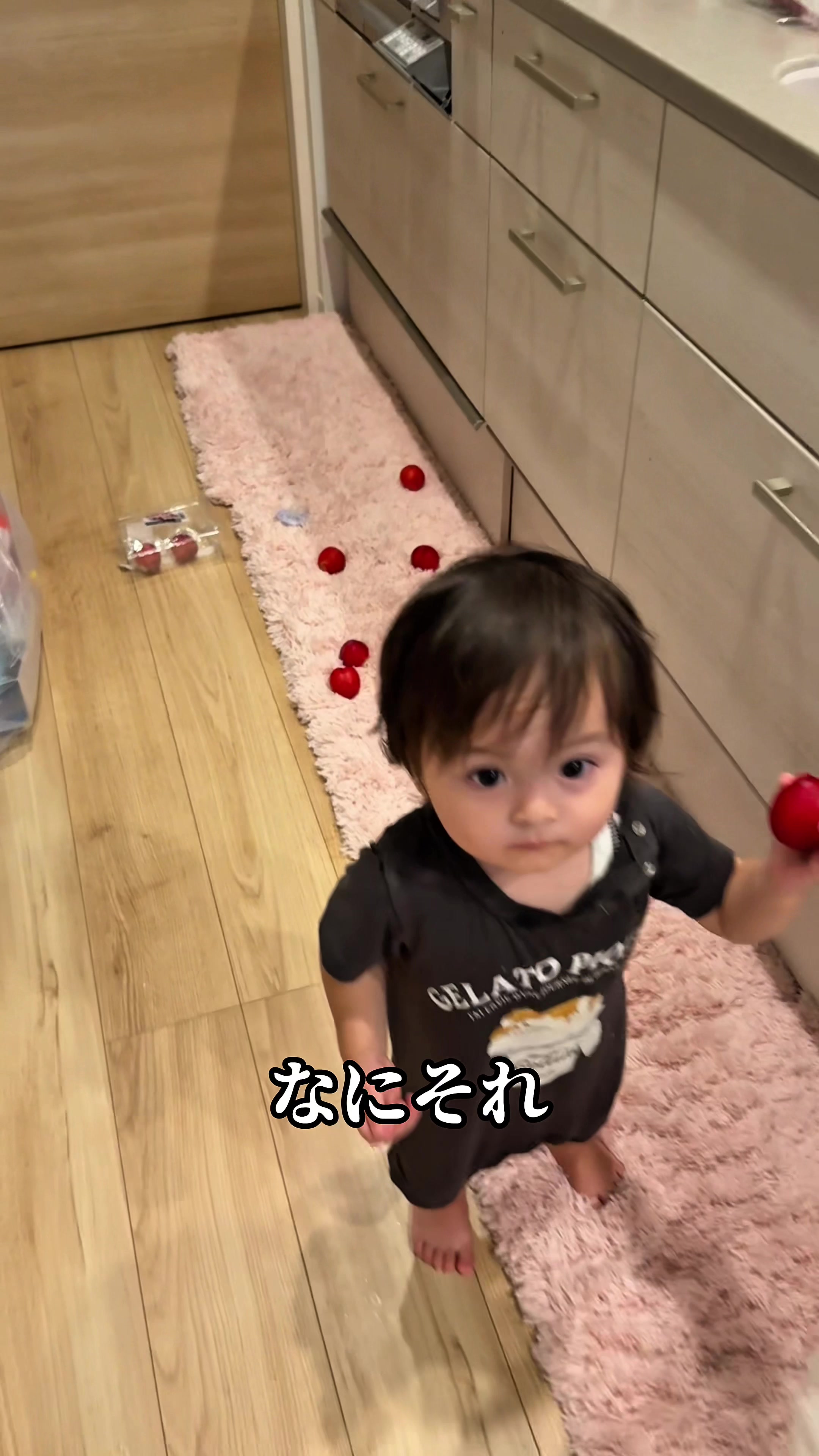 @SAMBA君【サンバ夫婦】