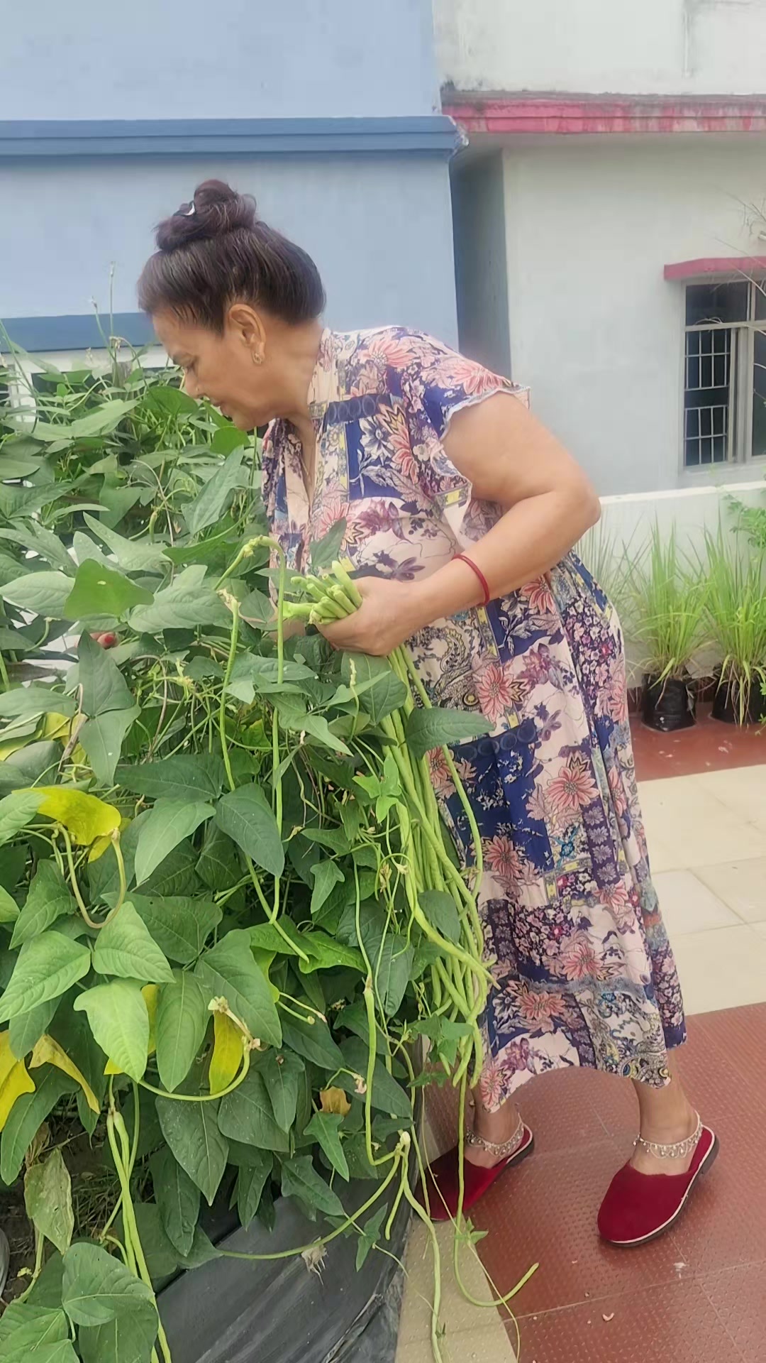 @Shakun Oli