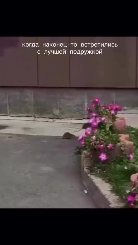 @Хуанита💃