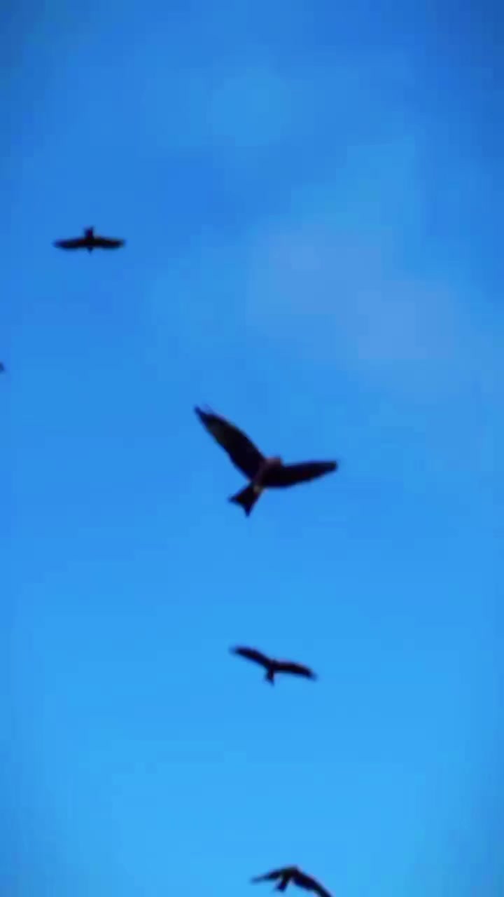 @NoorPakistani786