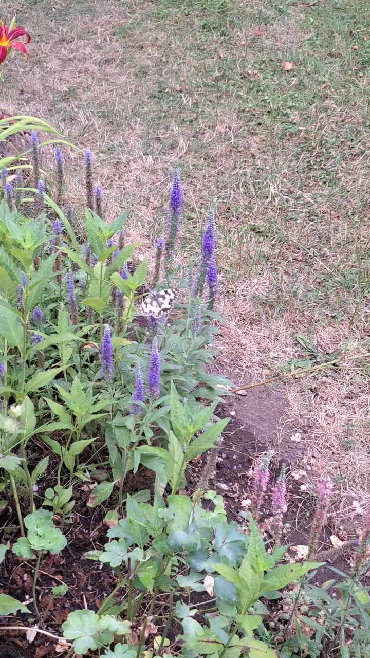 @Natur und Garten