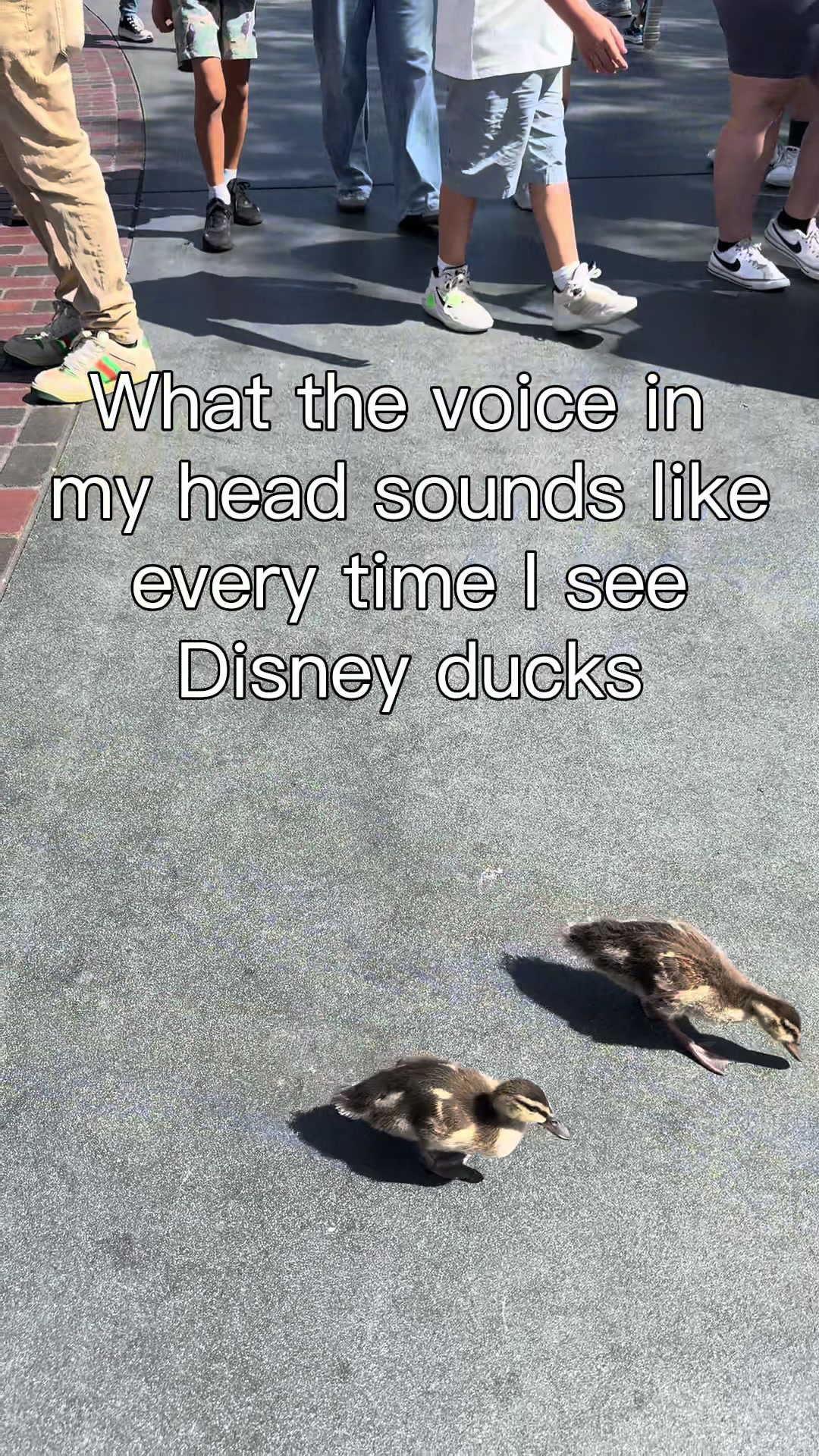 @DisneySarah23