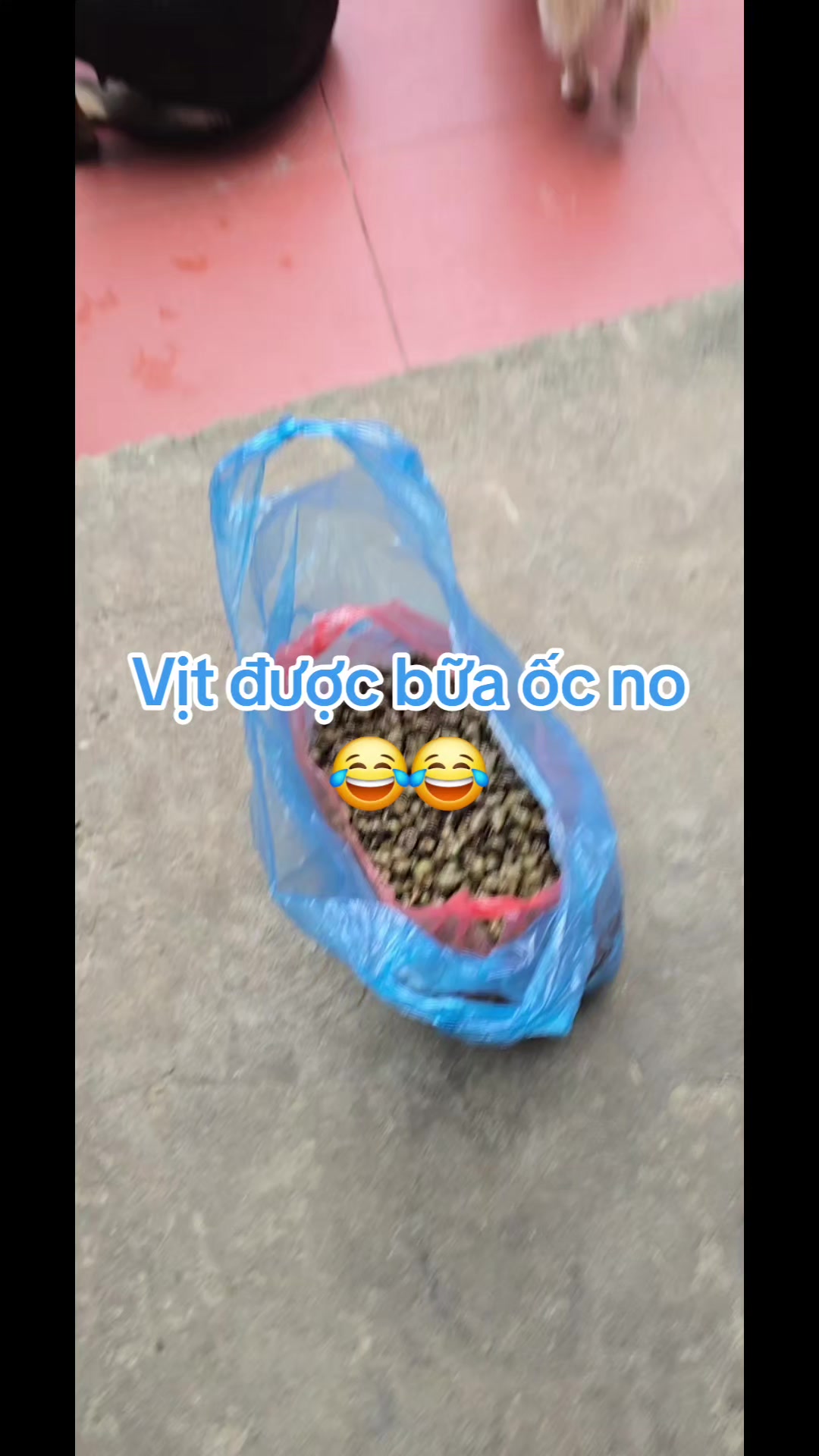 @Trai YB LC 🇻🇳