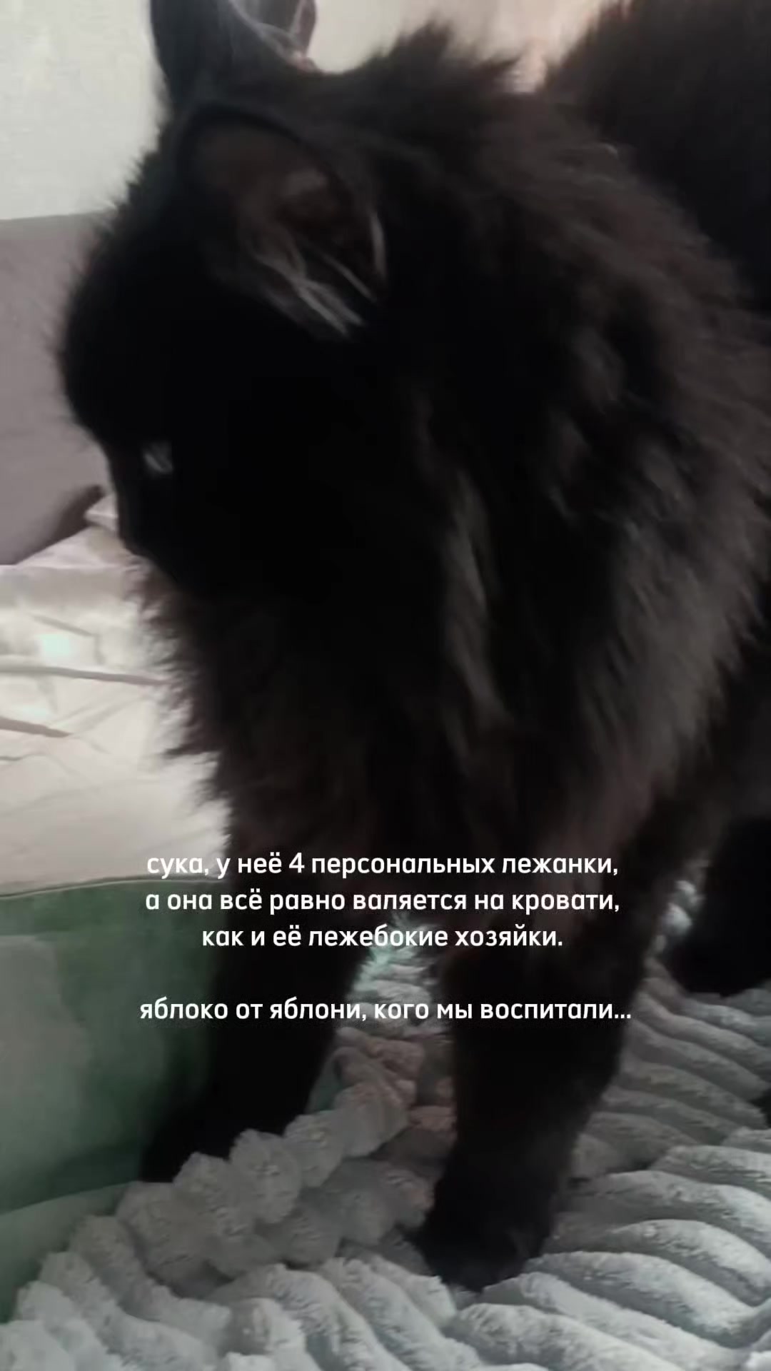 @анья блин!