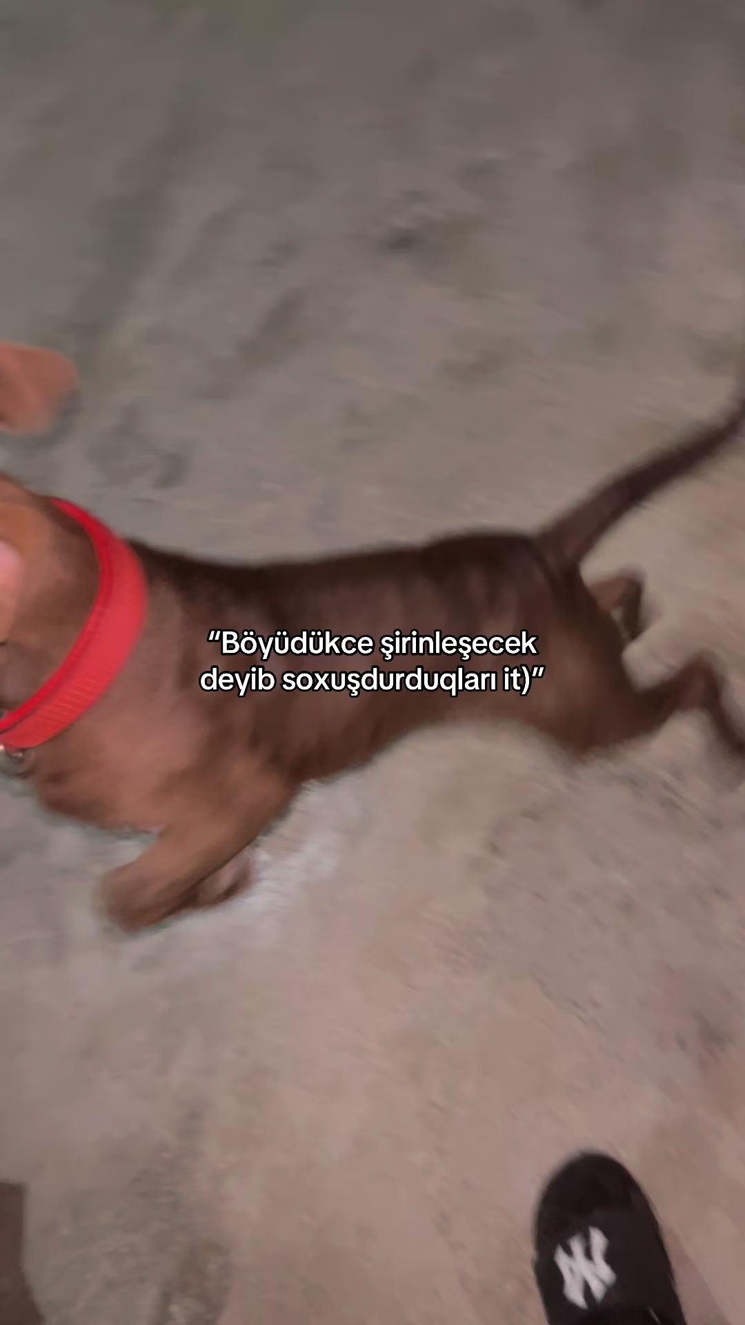 @𝓒𝓾𝓶𝓪𝔂𝓮𝔀 🍷