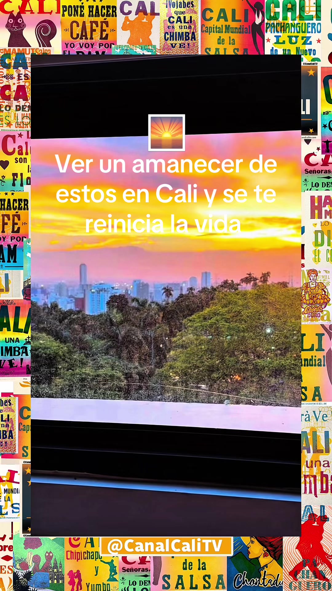 @CanalCaliTV