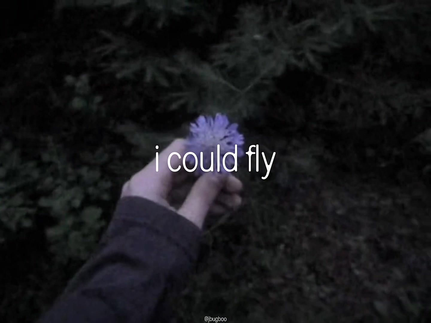 @bug