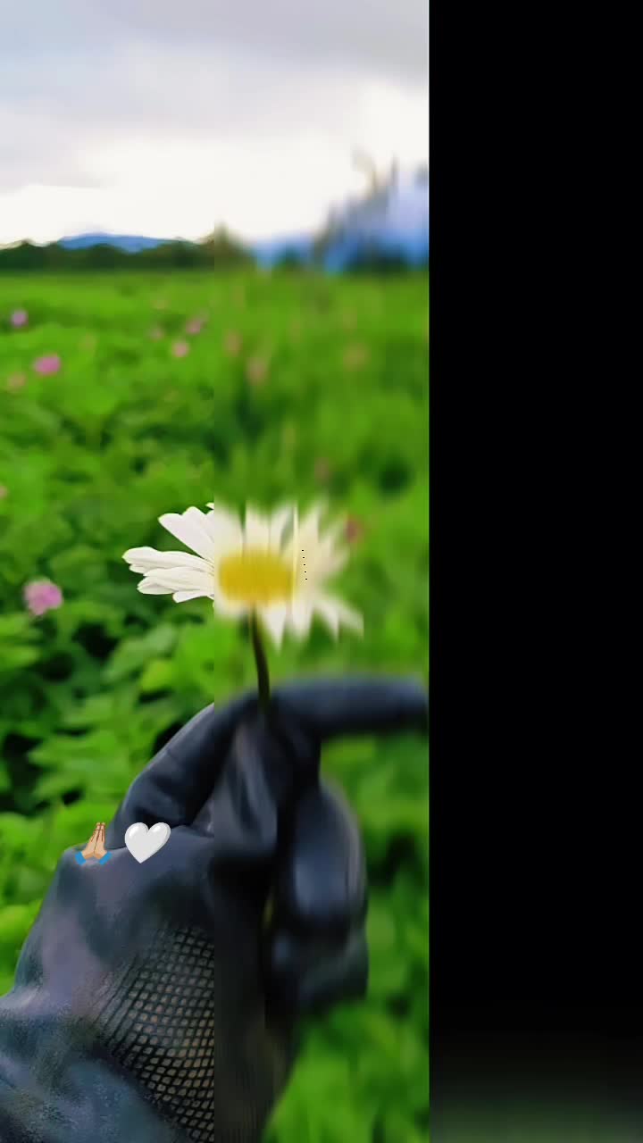 @✨𝓜𝓸𝓷𝓲𝓣𝓱𝓪✨