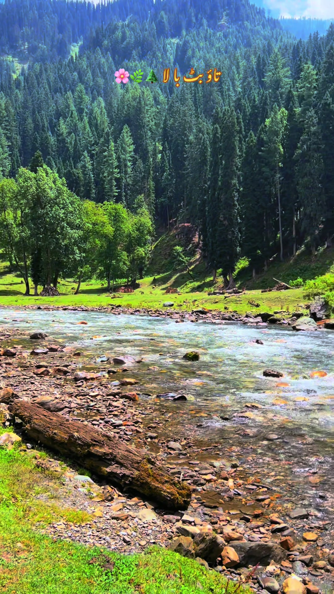 @Pakistan___Beauty