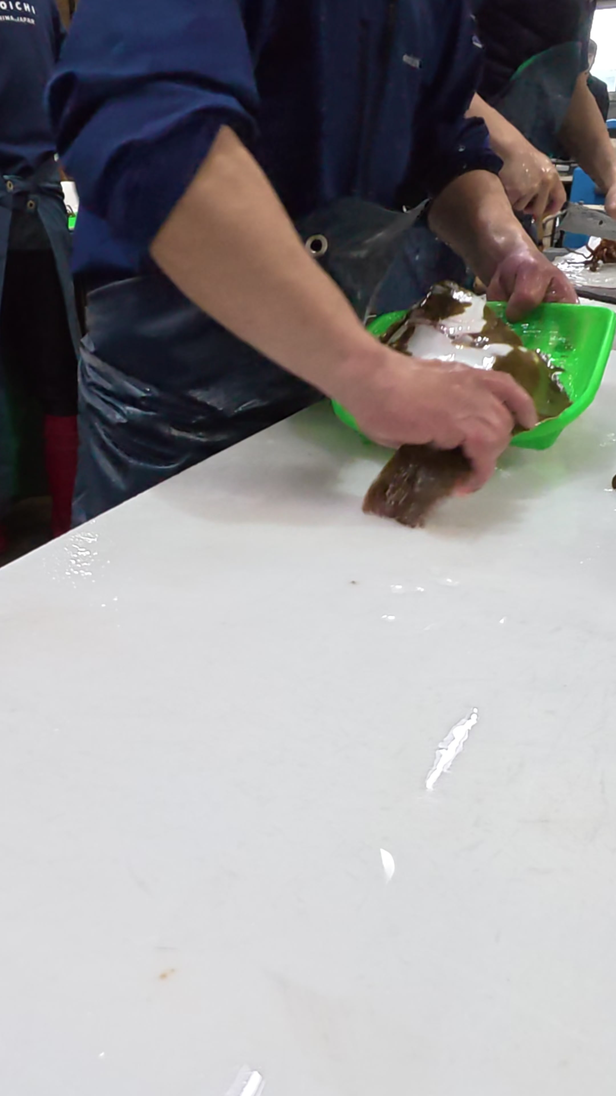 @鳴門魚市のサブ垢