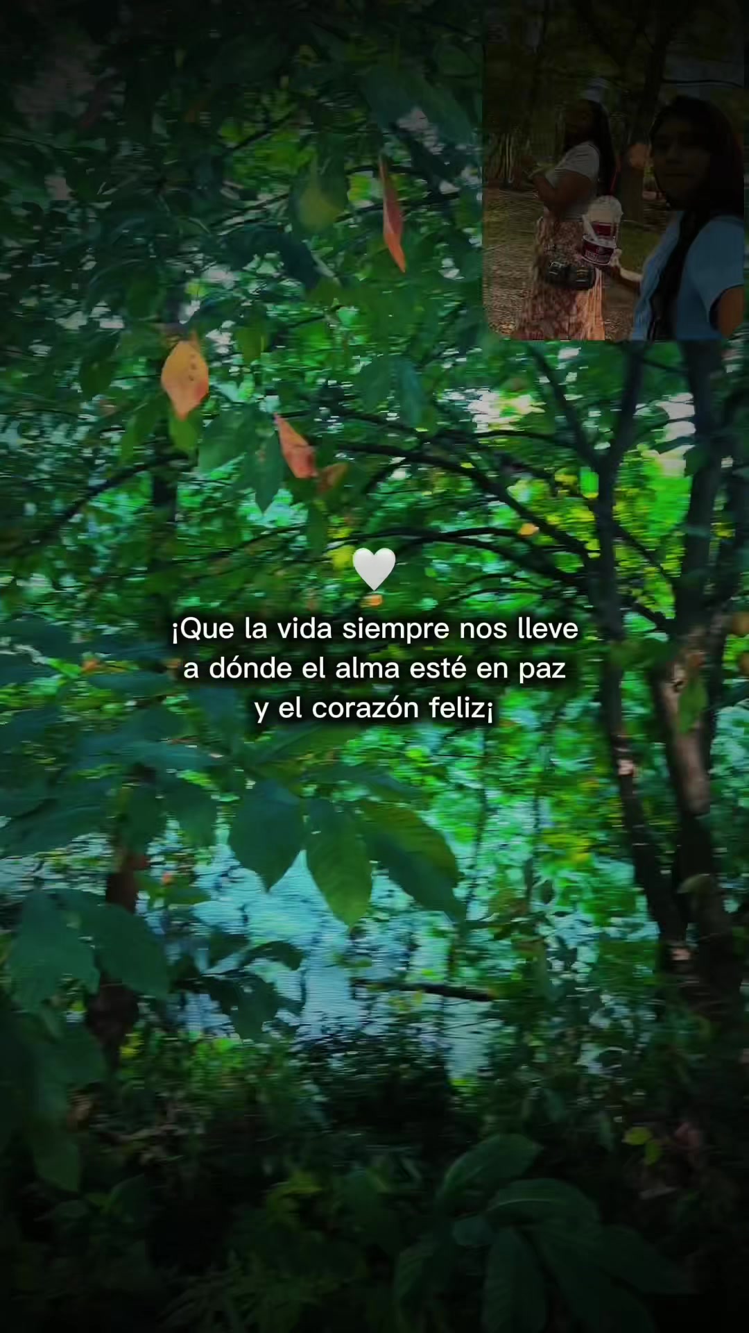 @irias376
