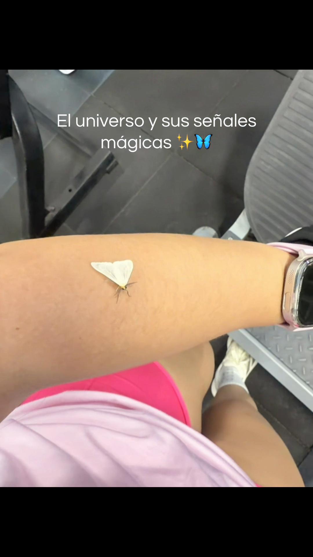 @VLizbeth