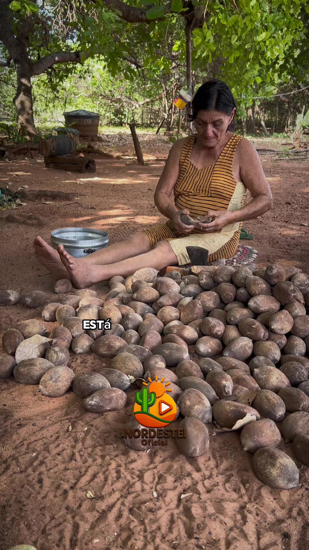 @nordesteioficial