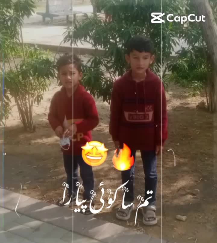 @میر علی شاہ