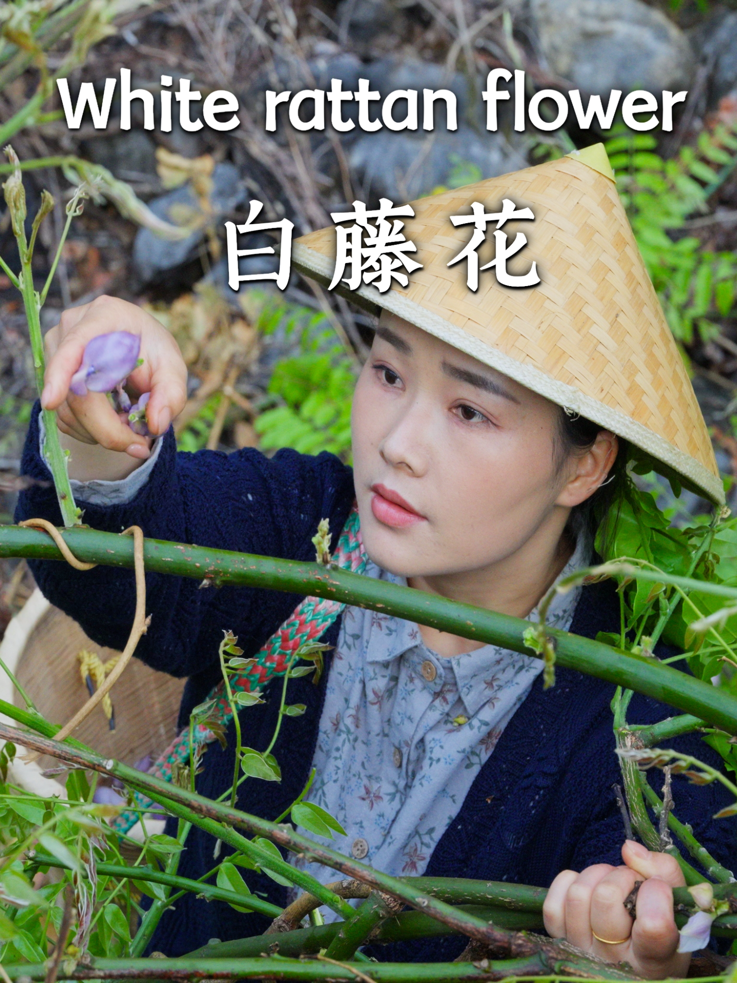 @滇西小哥 Dianxixiaoge