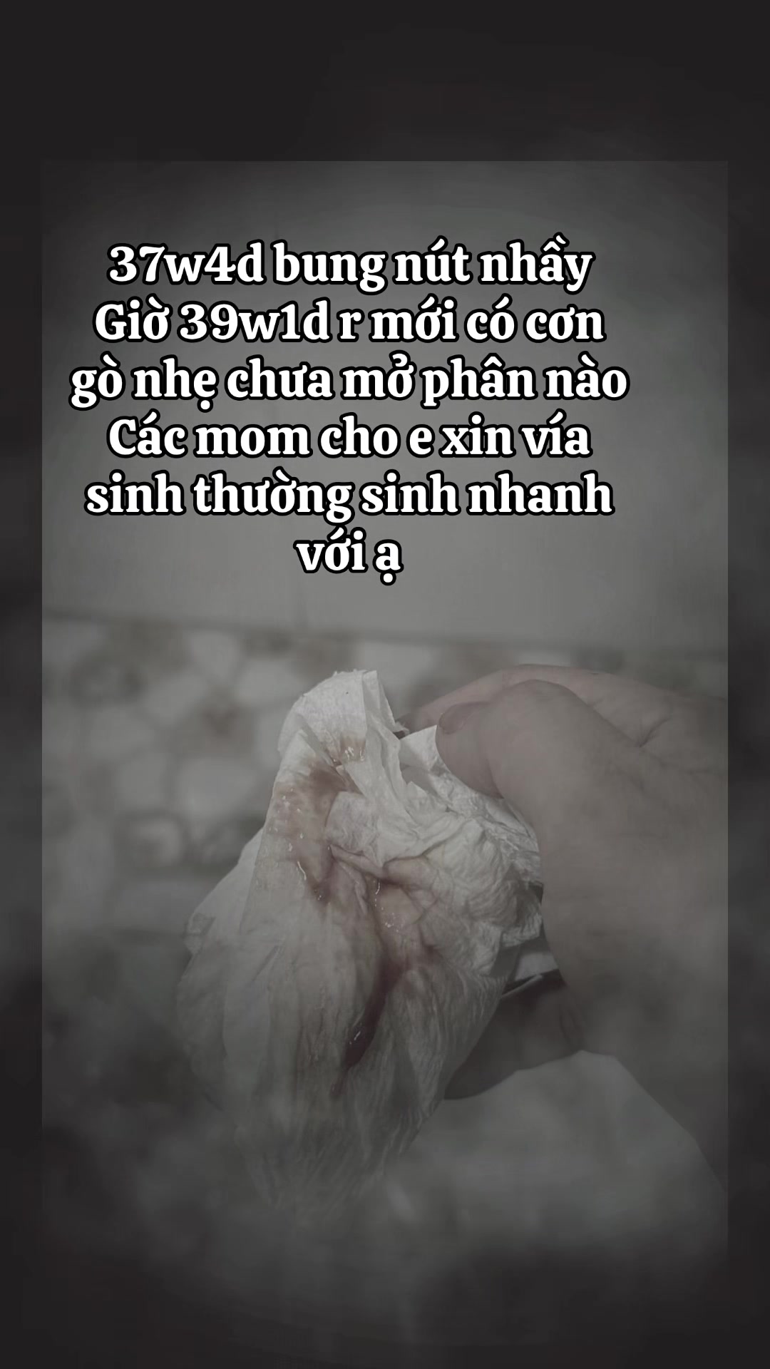 @Mẹ Bông Bi 🩷💙