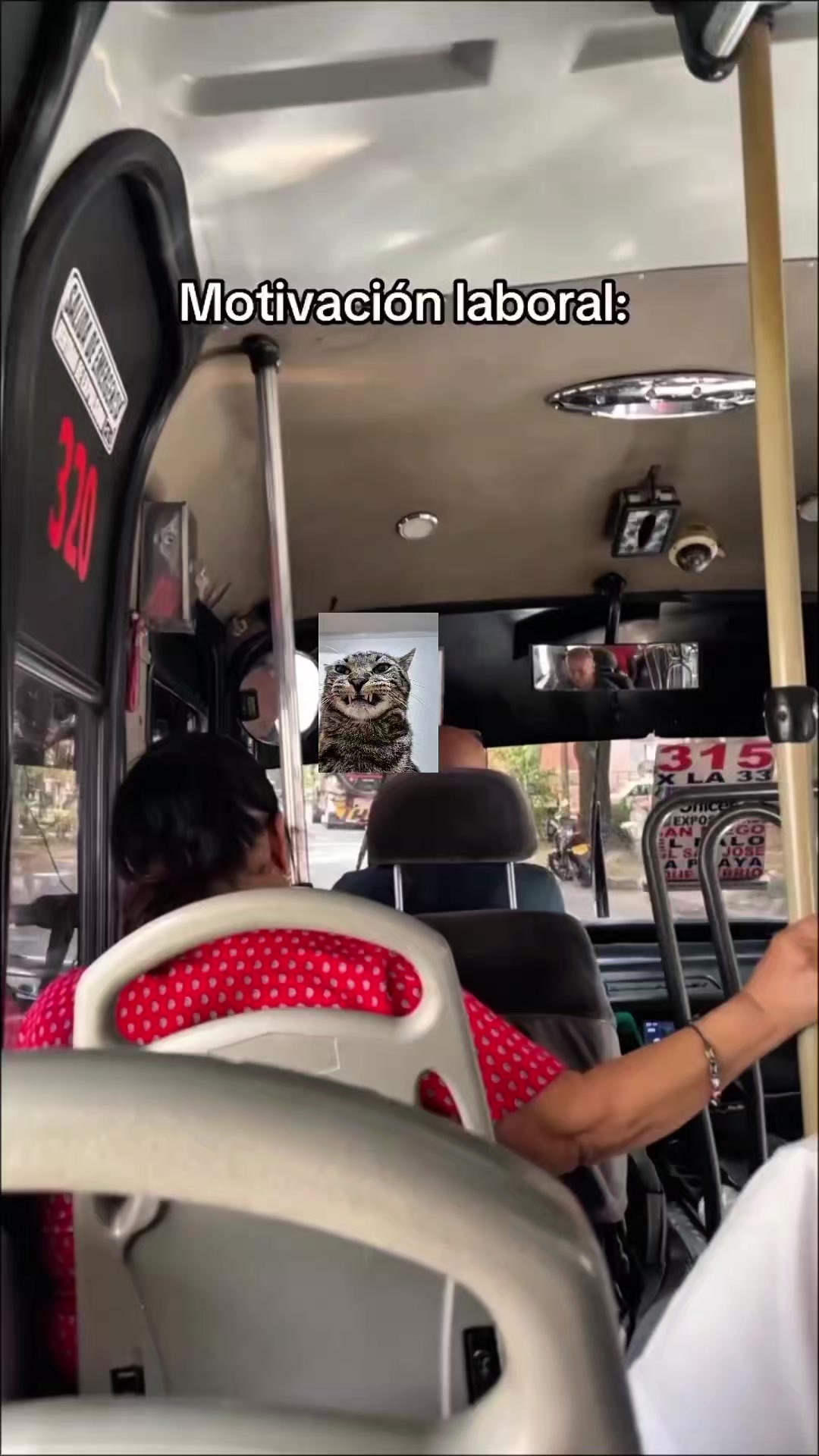 @Mushu