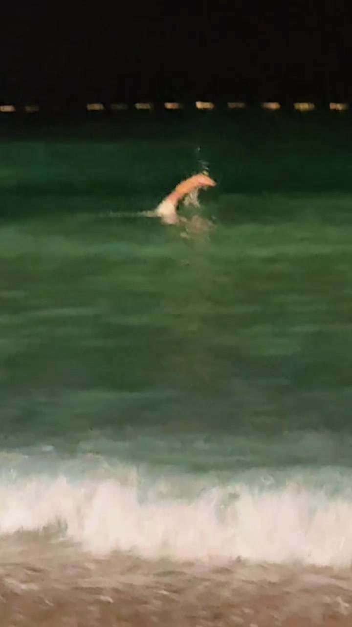 @𝓒𝓱 𝓜𝓸𝓱𝓼𝓲𝓷..ᥫ᭡