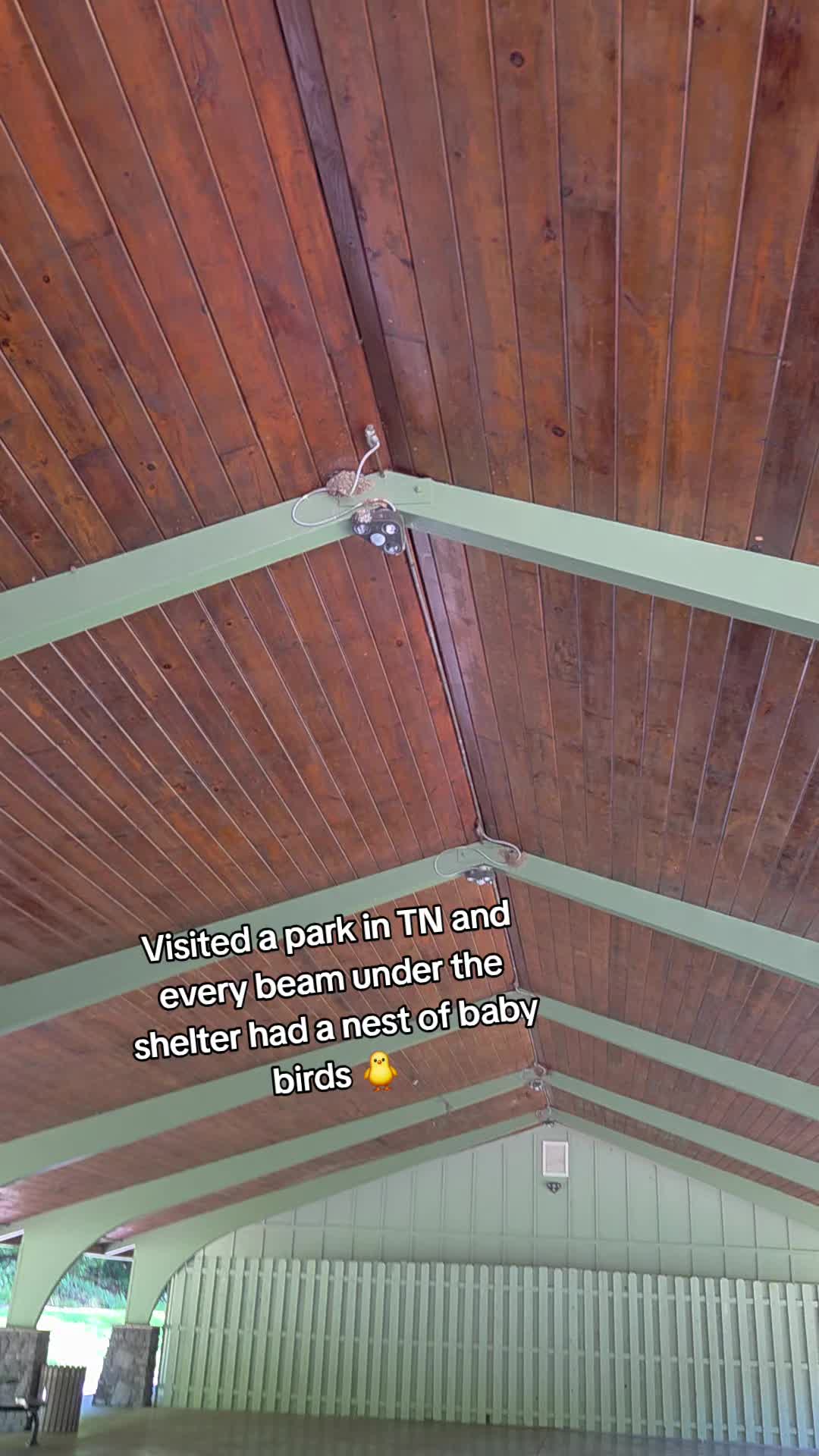 @Cindy🐈