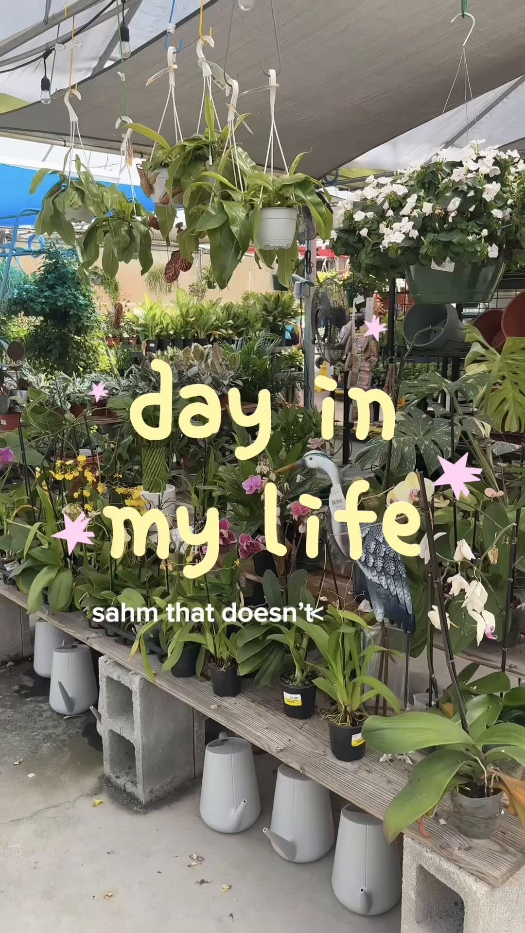 @Serena | Mom life & Finds✨☕️