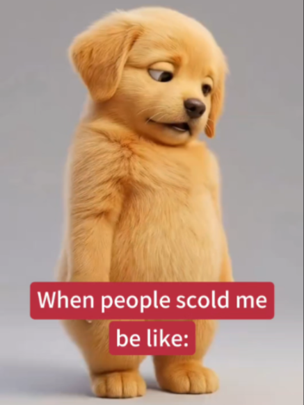 @PawBuddieshome