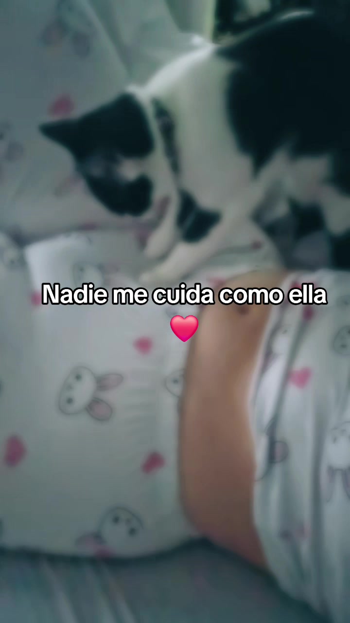 @La Nanis