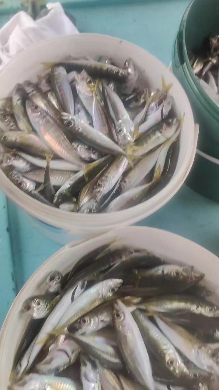 @SeRCan KaPTaNLa TeKNe KeYFi