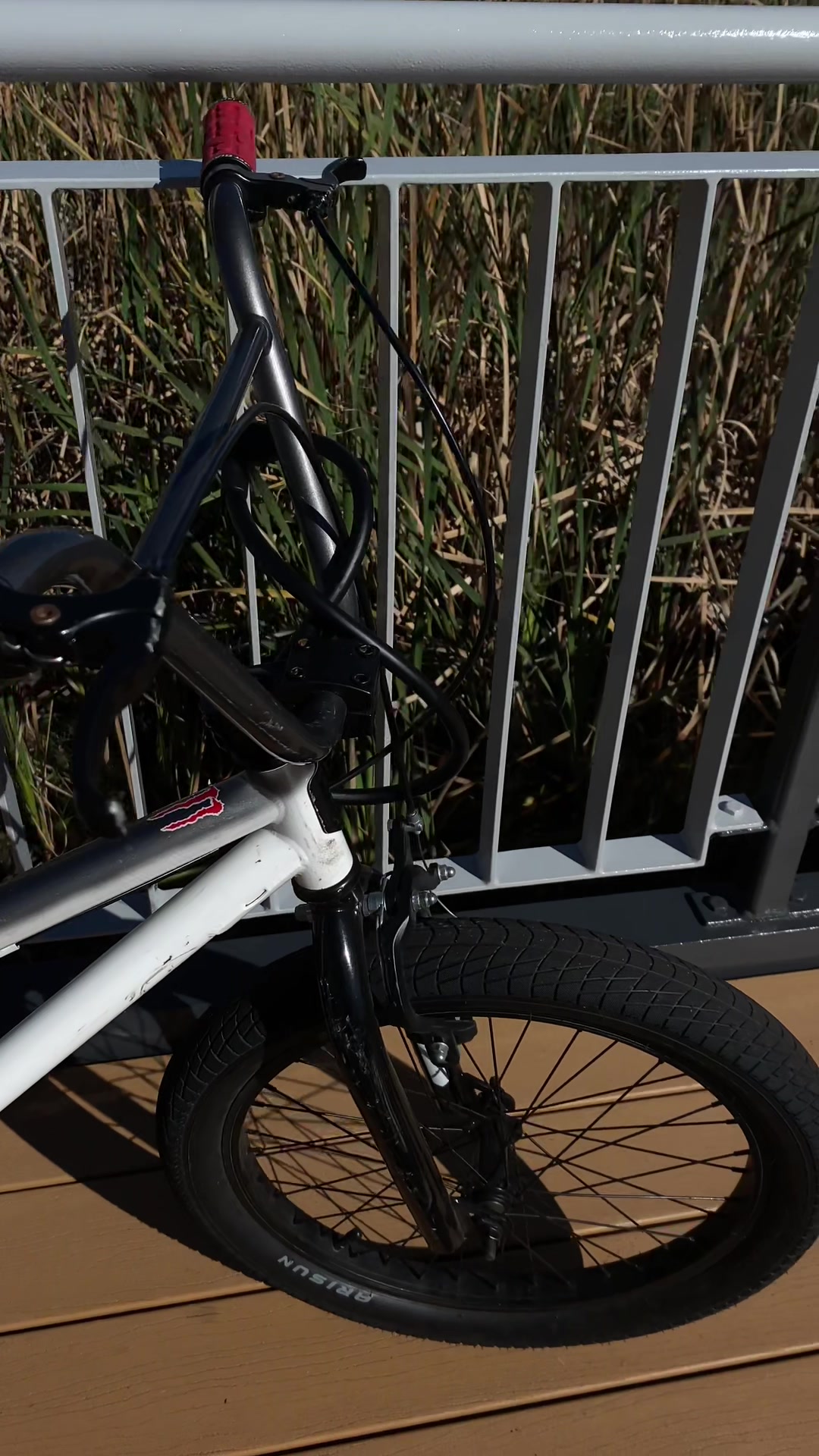 @bmxbic