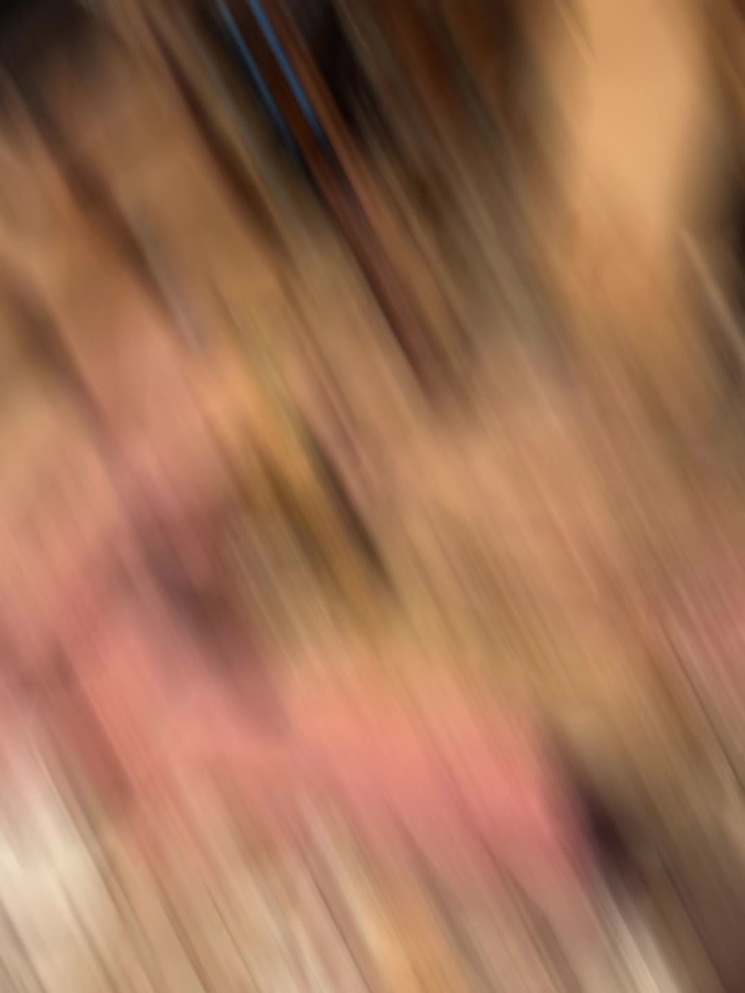 @Carnivores