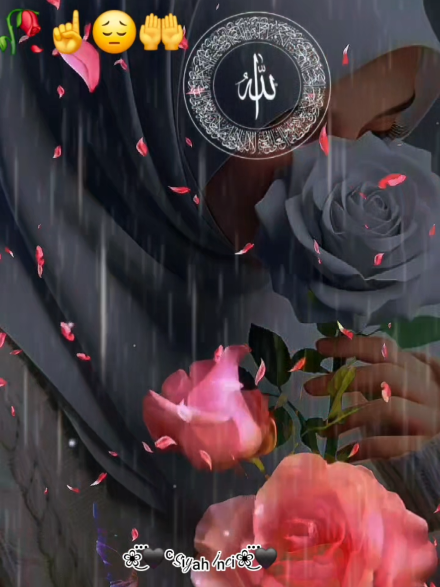 @❀፝͜🖤Sᵢyₐₕ İₙcᵢ❀፝͜🖤571