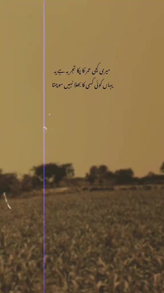 @ambarsariya